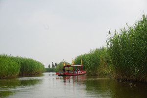 高邮游记图文-与高邮湖再续前缘