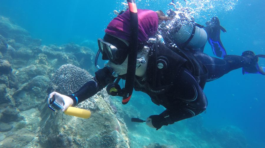 亚龙湾爱琴海PADI潜水度假村