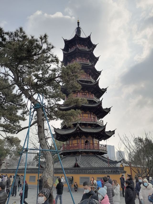 龙华塔旅行图片 2