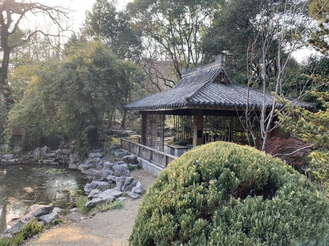 复兴岛公园旅行图片 2