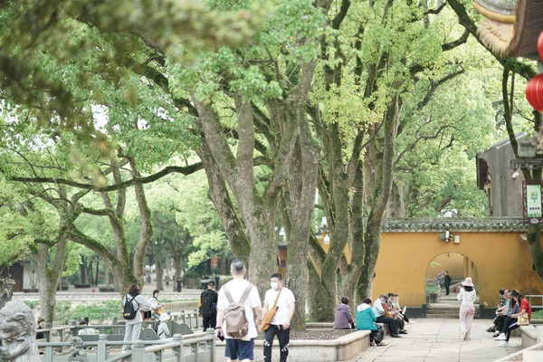 普陀山值得去的地方,最详细的普陀山旅游攻略来啦