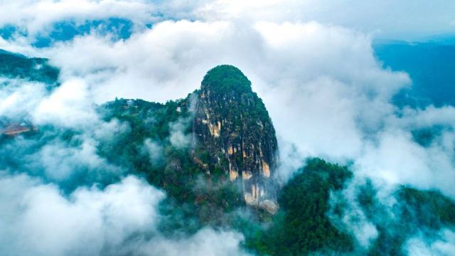 哀牢山国家级自然保护区旅行图片 1