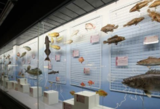 釜山海洋自然史博物馆景点图片