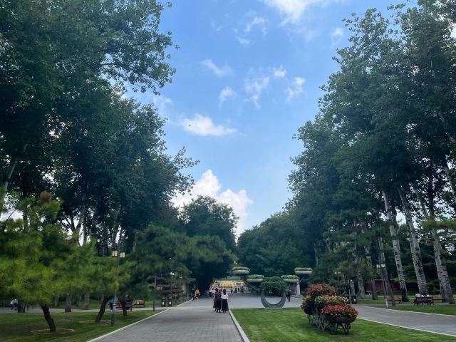 地坛公园旅行图片 2