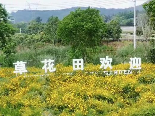 香草花田