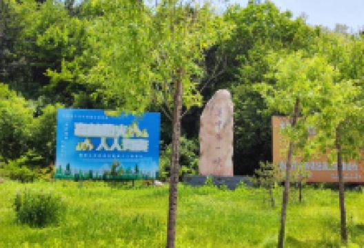 仲山森林公园(关中第一峡)景点图片