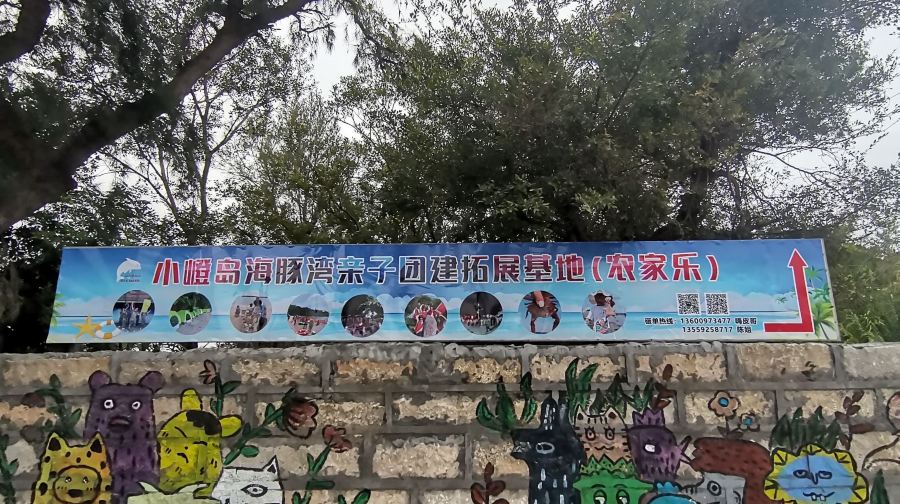 小嶝岛海豚湾亲子团建拓展烧烤基地