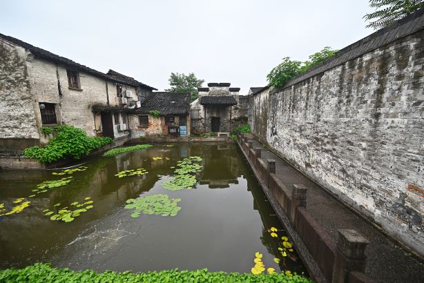 Gallery 2