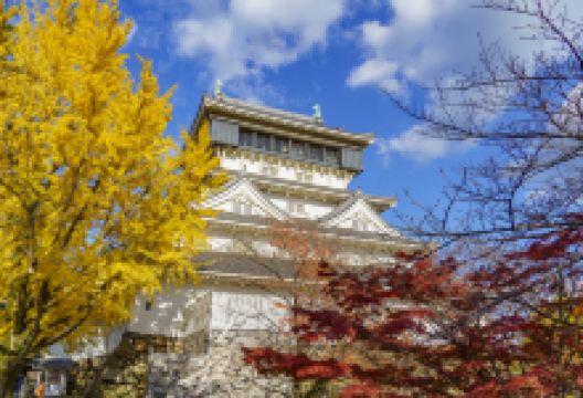 小仓城景点图片