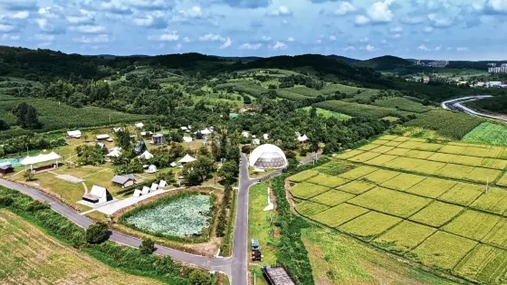 跡露淺山星空露營地