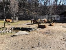 海柏公园-多伦多-BetTerDAY