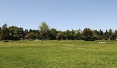 新奥尔良城市公园-新奥尔良-小小呆60