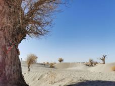 塔里木沙漠公路-且末-JJ77