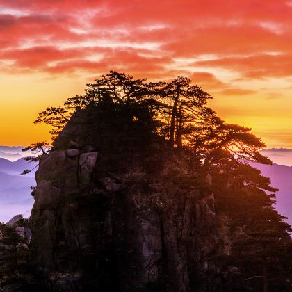 黄山市+宏村景区+西递+婺源5日4晚跟团游