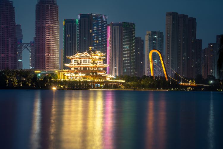 Gallery 2