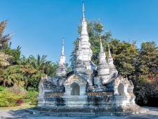 曼听御花园-景洪-肥肥安大王