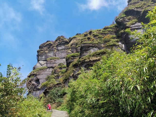 梵净山公园旅行图片 7