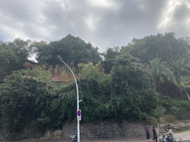 爱情岛旅行图片 3