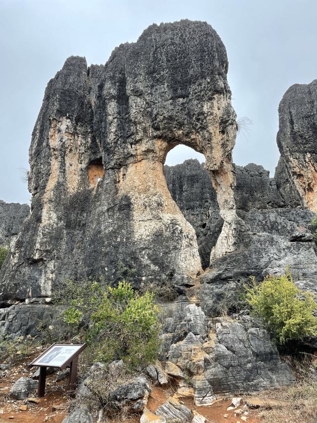 乃古石林风景区旅行图片 13