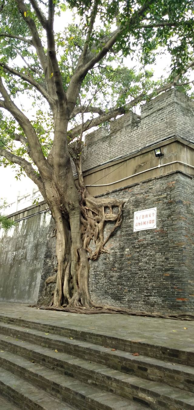 南宁古城墙旅行图片 13