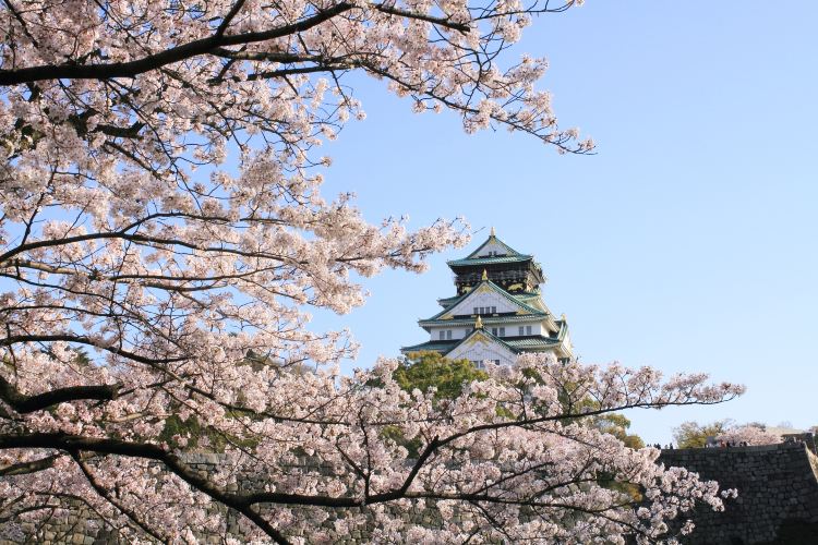 日本必玩活動