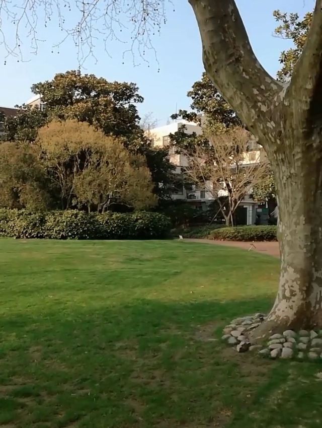 襄阳公园旅行图片 5
