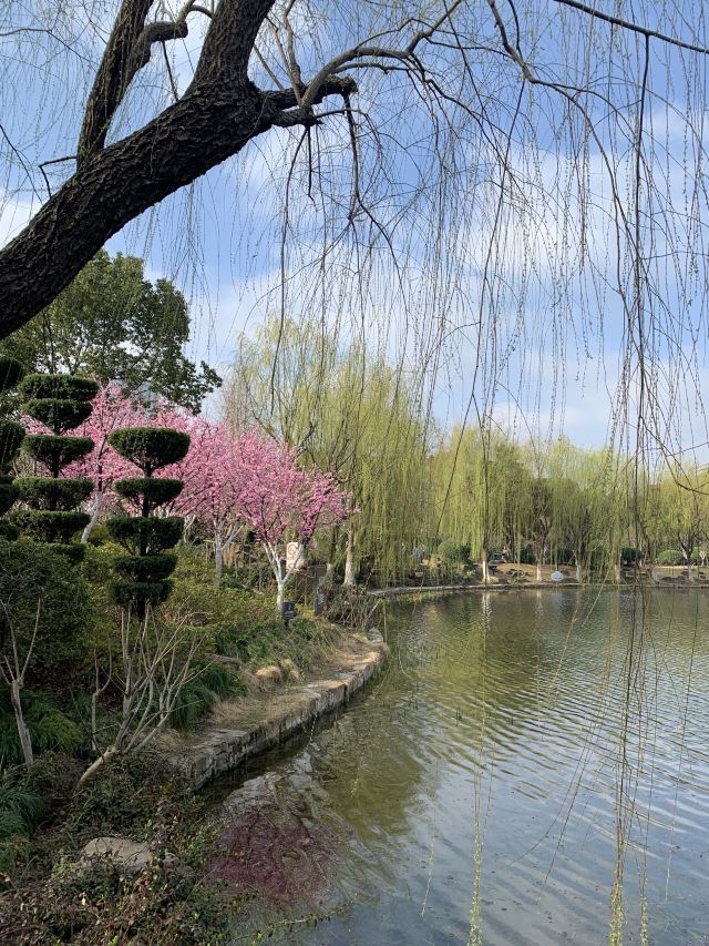 曲阳公园旅行图片 3