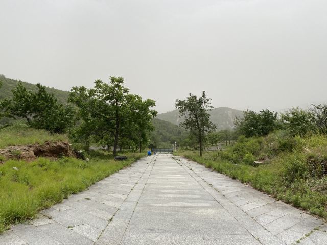 金陵遗址旅行图片 5