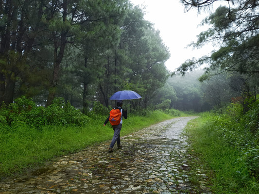 大理苍山之行,雨雾漫步玉带路,风景这边独好!
