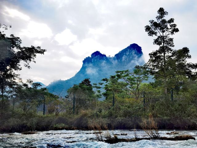 老木棉·紫园景区旅行图片 3