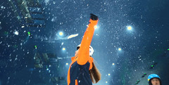 太湖游记图片] 【无锡融创】嗨玩融创雪世界，滑雪、冰上碰碰...等你来！