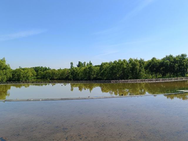西安浐灞国家湿地公园旅行图片 2
