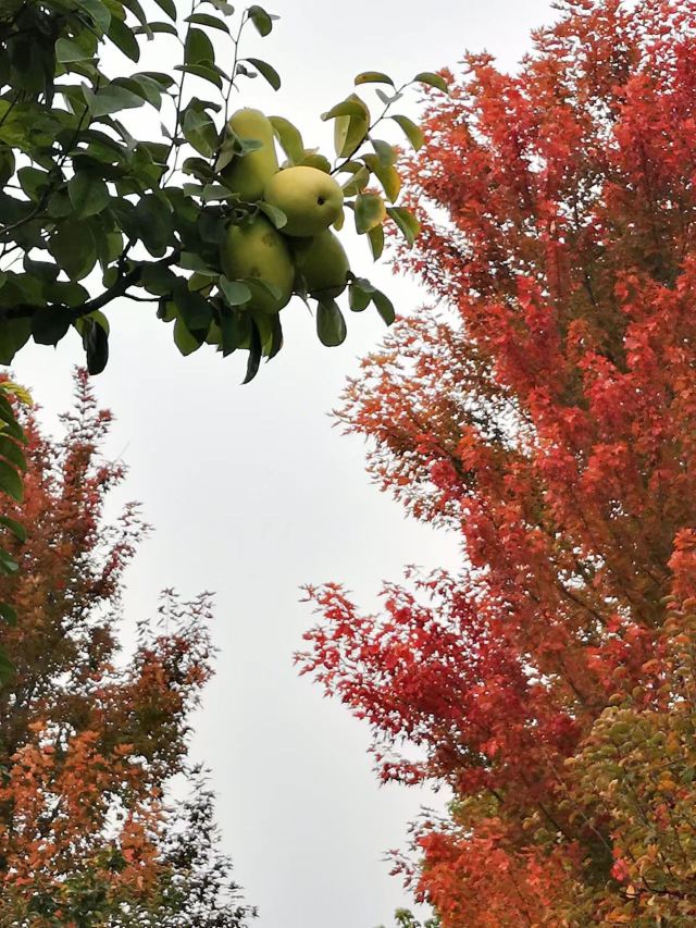 北京国际雕塑公园旅行图片 3