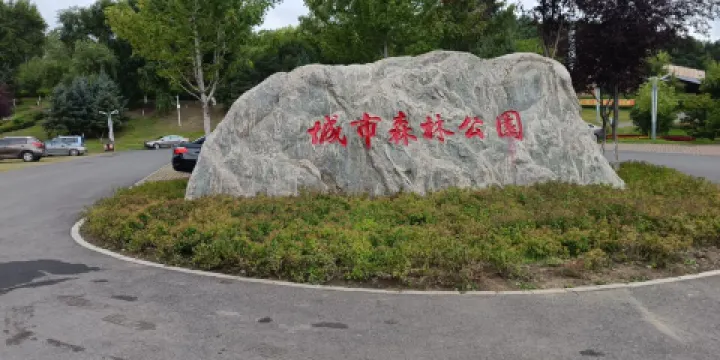 雞西城市森林公園