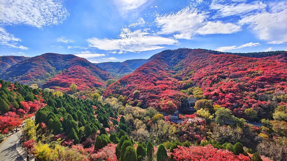红叶谷