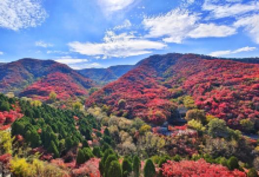 红叶谷景点图片