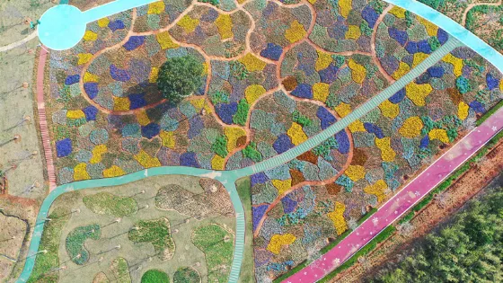 花谷奇緣旅遊度假區