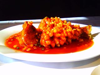 2023年,人自在年,动物人分界啊,,,