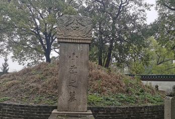 岳阳楼景区+洞庭湖+屈子文化园+小乔墓+汴河街一日游【乐游岳阳：探寻屈子文化、品读岳阳楼、望洞庭湖、资深导游带您认识历史中的岳阳】