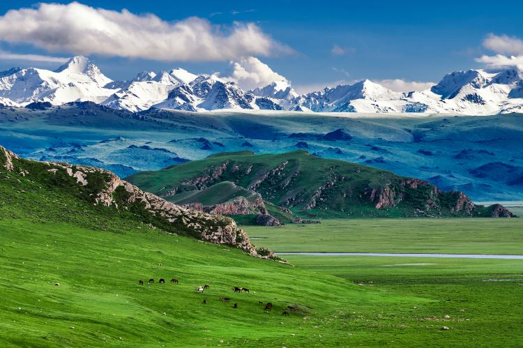 Xinjiang Brief Guide