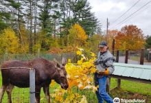 Maine Wildlife Park景点图片