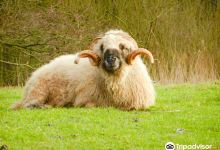 West Coast Park & ​​Robbarium景点图片