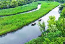 西溪国家湿地公园景点图片