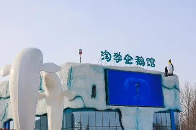 哈尔滨极地公园·淘学企鹅馆