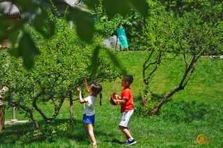 北京遛娃圣地,两天一晚童话树屋,现实版的丛林世界