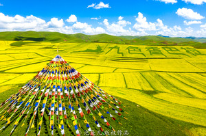 玛曲游记图文-中国唯一一个以黄河命名的小县，黄河神奇倒流800里，95%是湿地，太美了