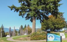 本那比山公园-本那比-zhulei831230