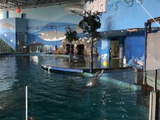 苏州海洋馆-苏州-农商行梁朝伟