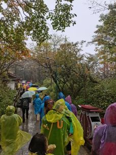 报国寺-峨眉山-生活当旅游