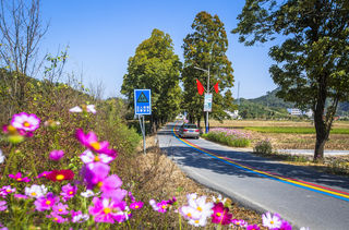 秋季皖南游,这两条自驾路线风景秀美,还可以探寻徽州文化